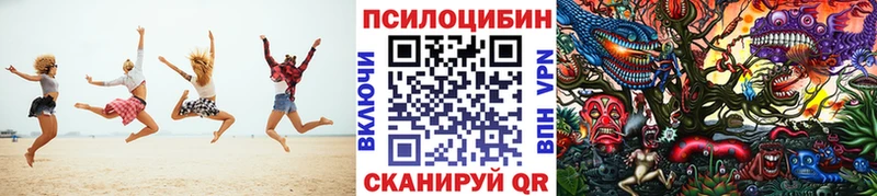 где можно купить наркотик  Липецк  Псилоцибиновые грибы MAGIC MUSHROOMS 